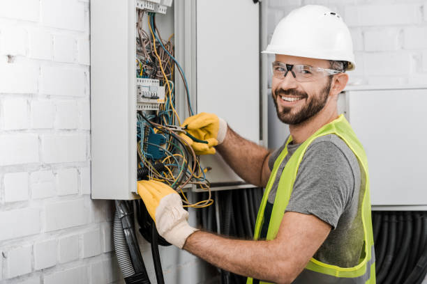 Best Ceiling Fan Installation Electrician  in Sitka, AK